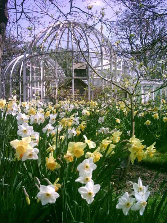 Birmingham Botanical Gardens in Bloom - Part 10