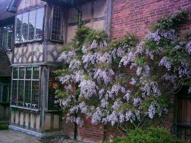 Stratford upon Avon - William Shakespeare's Birthplace