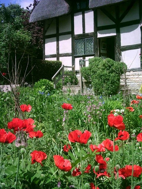 Stratford upon Avon - Anne Hathaway's Cottage in Bloom - Part 4