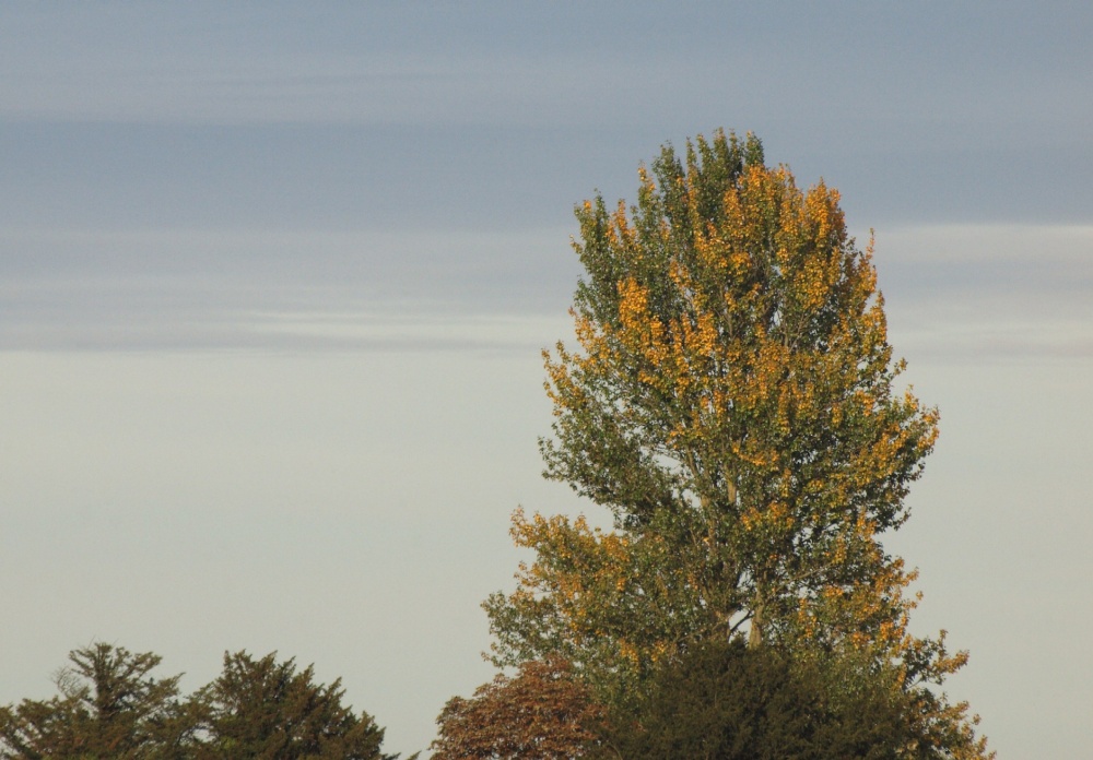 October sunlight at Thornton, Buckinghamshire