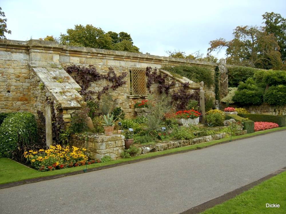 Walled garden at Hever Castle