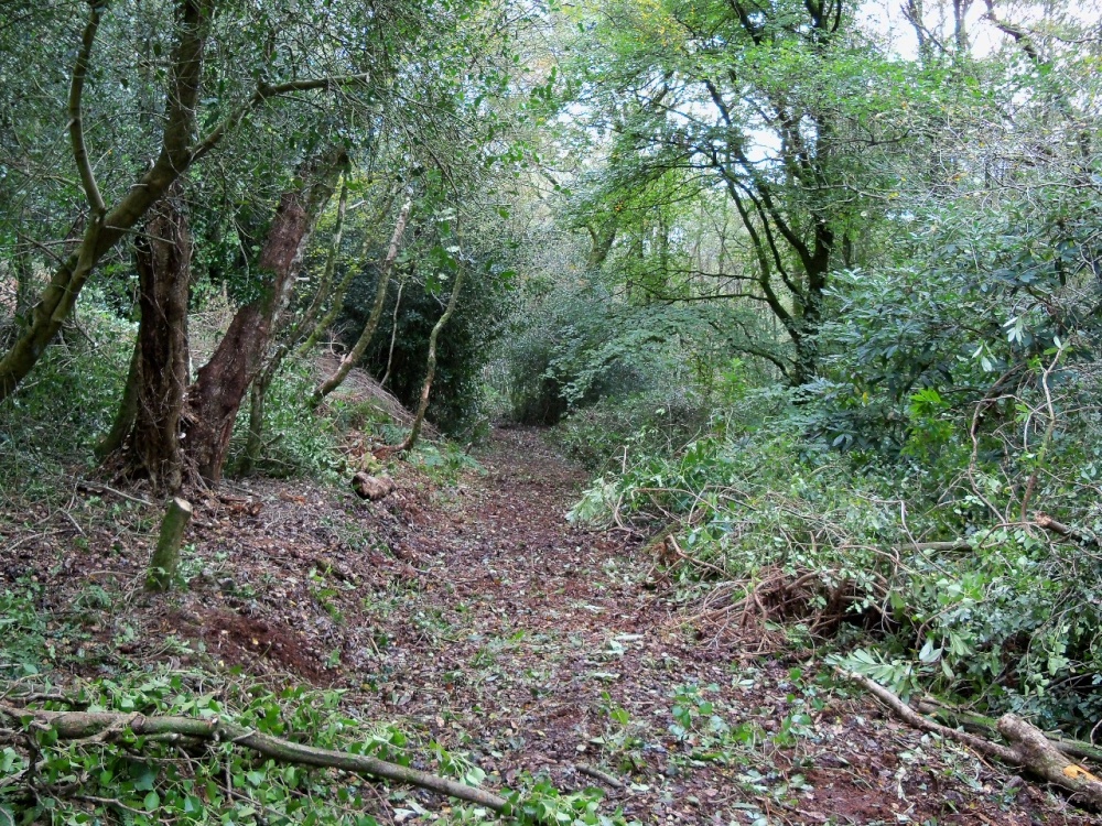 Carriage Drive Restoration east of the Otterhead Lower Lakes October 2010
