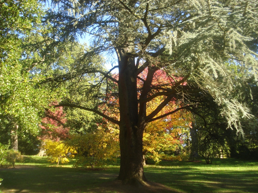 Autumn is here again