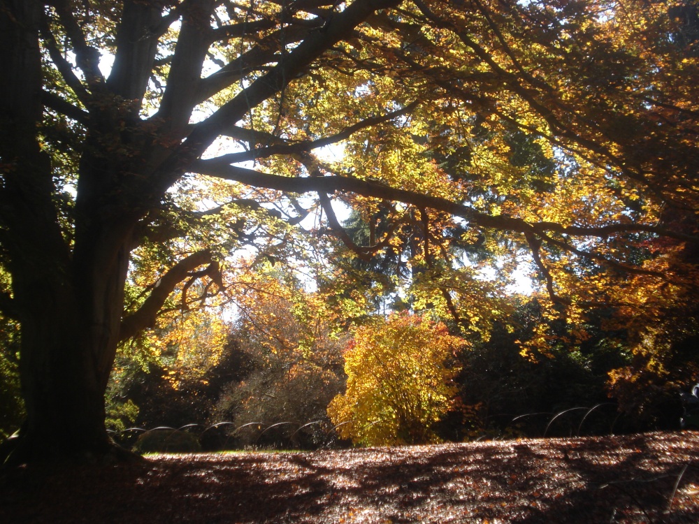 Best time of the year !