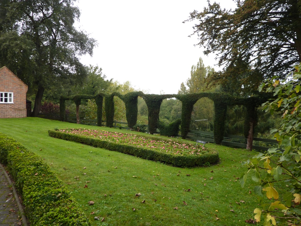A hedge in the Museum gardens
