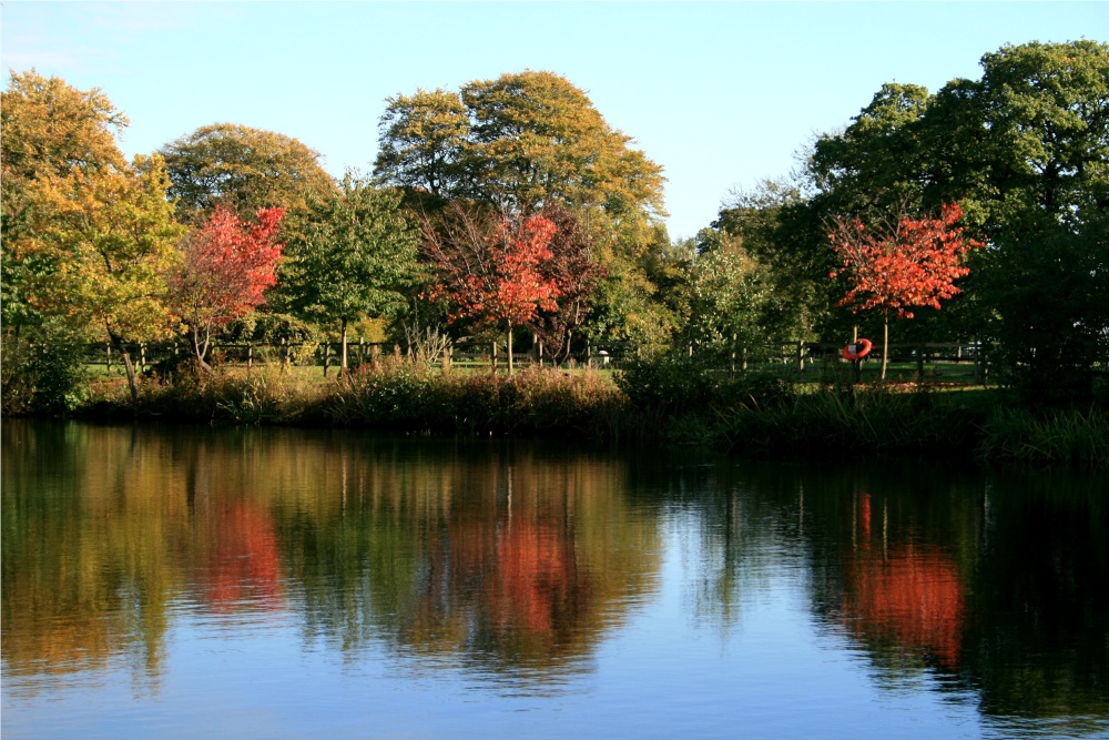 Photograph of The Lake at Nidd. Autumn is starting to show its colours.