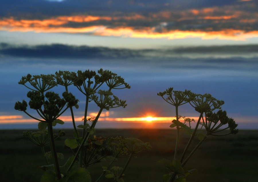 Photograph of Blakeney Sunrise