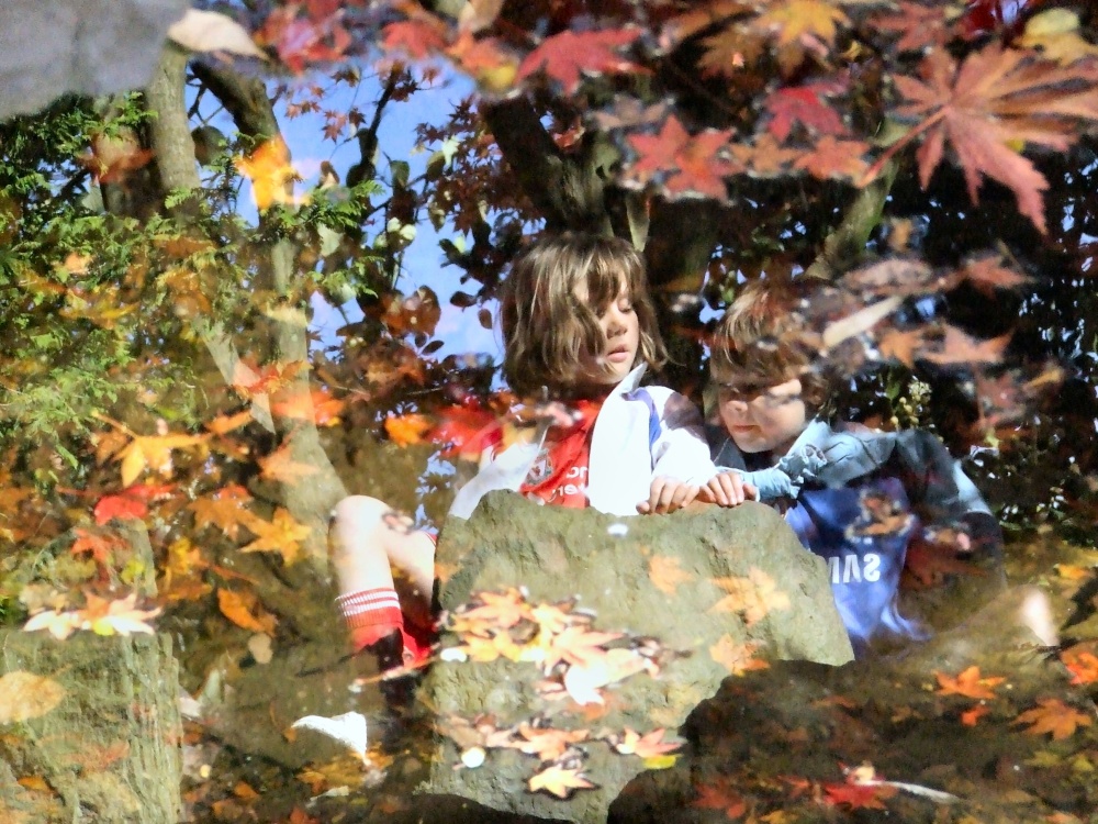 Calderstones park photo by Thomas Crossley