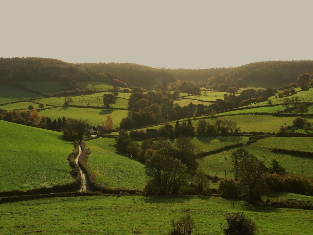 Photograph of Valley view