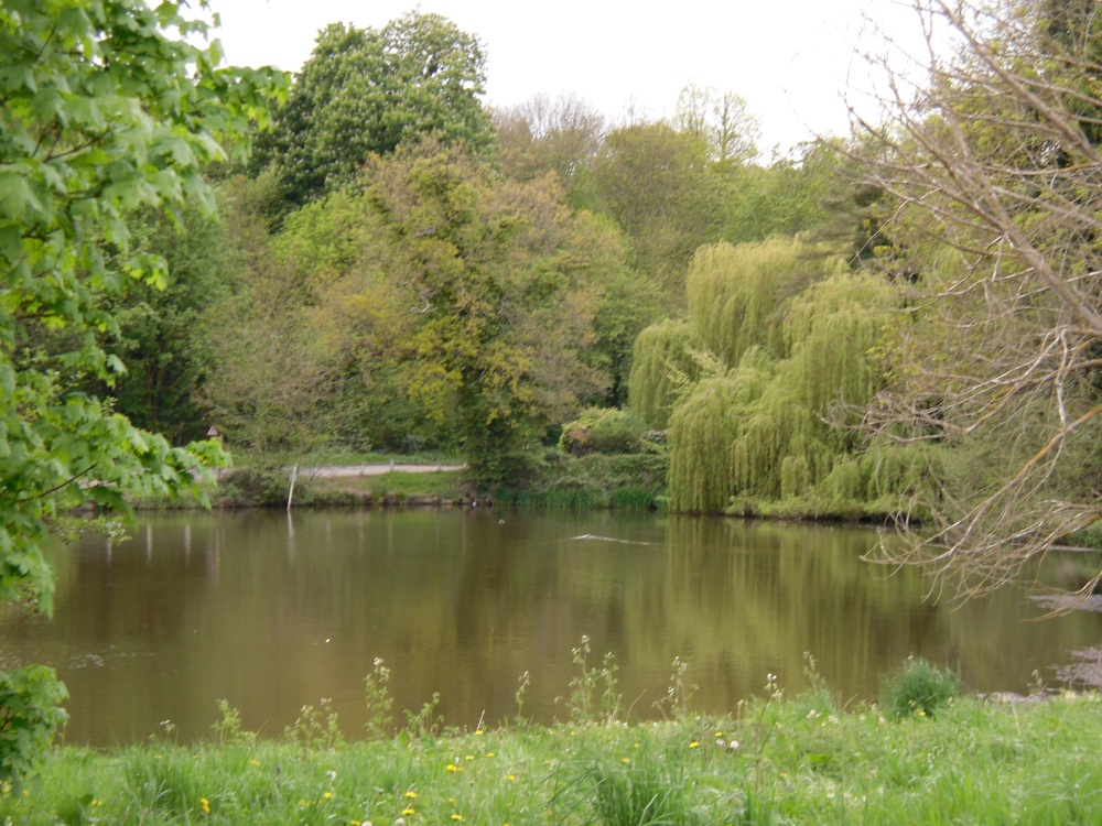 Thousand-year pond in Polstead, Suffolk