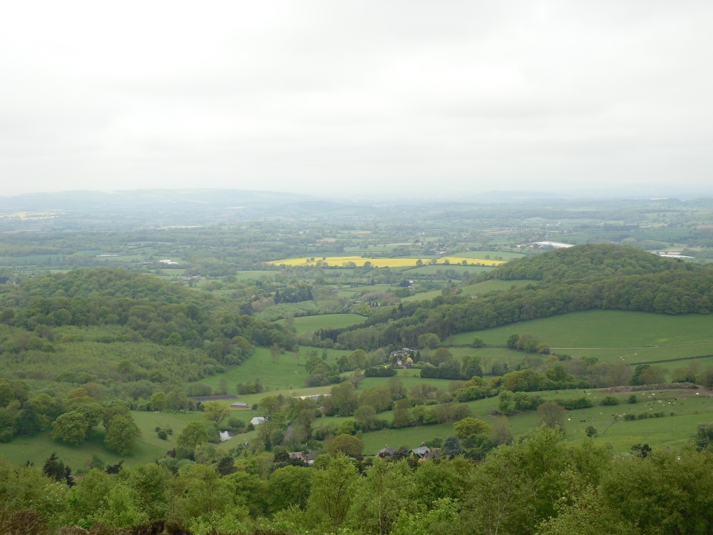 Malvern hills, May 2010
