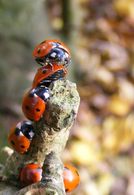 Soaking up the last sun