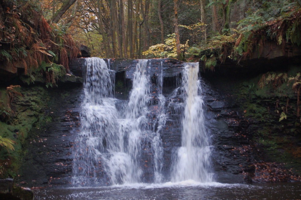 Goyt Stock Falls near Harden