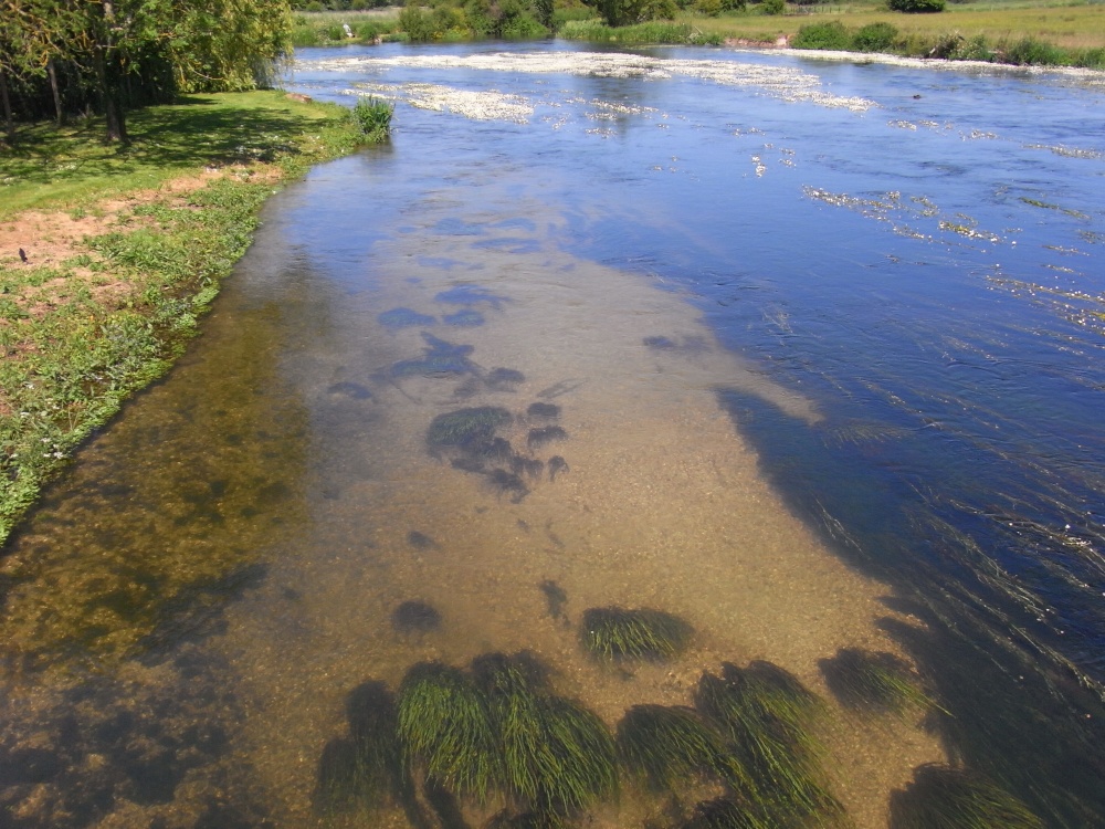 Photograph of River next to the Mill
