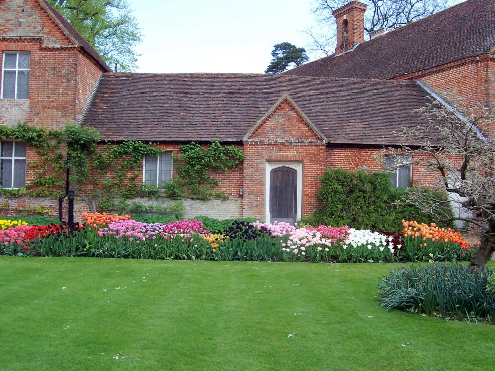 Summer Garden photo by Pete Smith