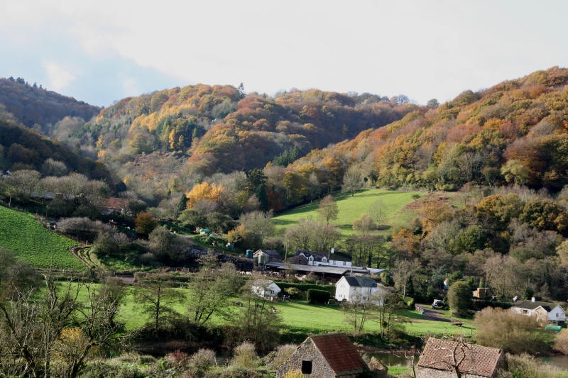 Photograph of Wye Valley
