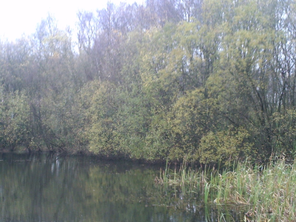 A lakeside scene photo by faintsmile1992