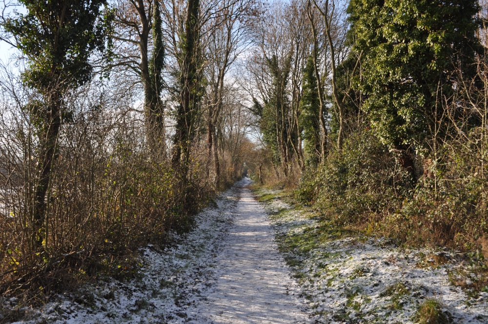 Photograph of Winter walk