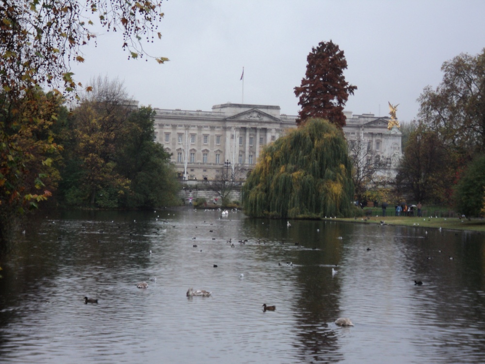 A view of Buckingham Palace from St James Park