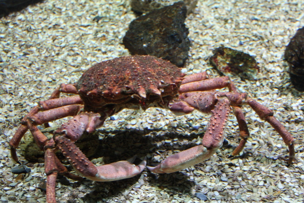 Aquarium at the Eden Project