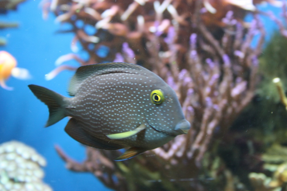 Photograph of Aquarium at the Eden Project
