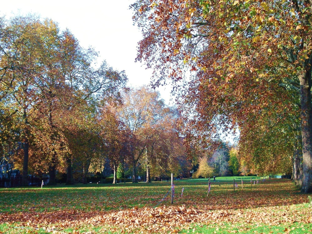 Hyde Park, London photo by Urmimala Singh
