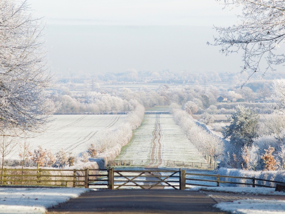 Frosty view, Hillesden, Bucks