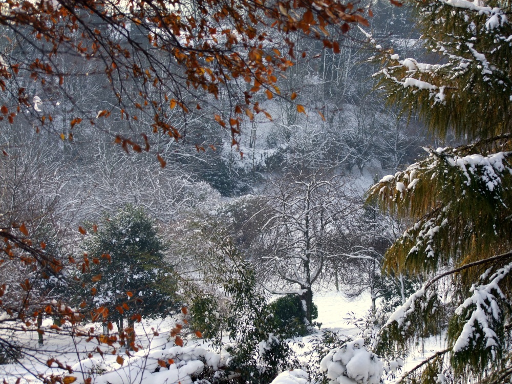 Valley Gardens in winter