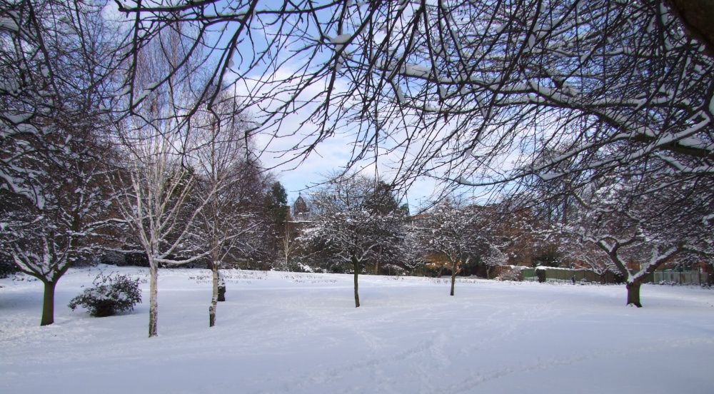 Valley Gardens in the snow
