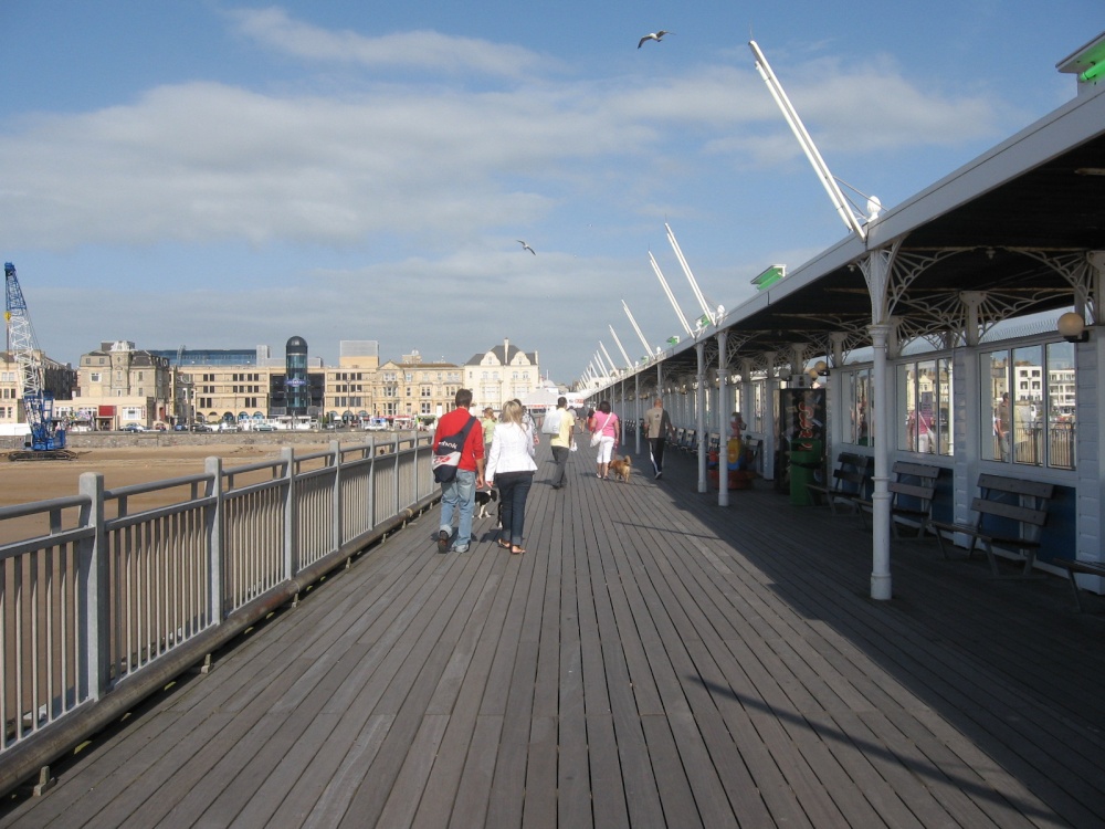 Seagulls over the Pier