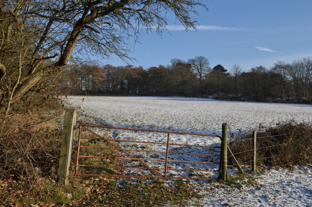 Photograph of Winter Scene