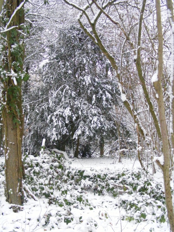 The chill in the air