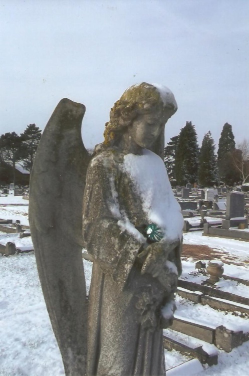 WINTER SCENE IN RUSHDEN