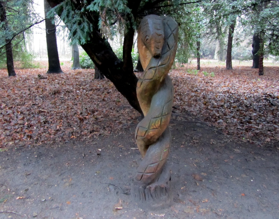 Snake In The Park