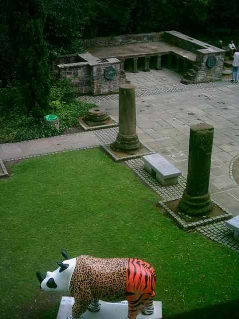 Chester - August 2010