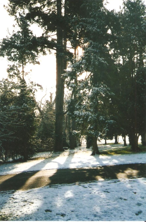 RUSHDEN HALL PARK WINTER VIEW
