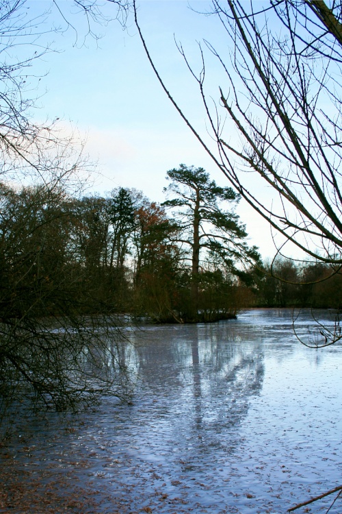 Nidd in Winter.