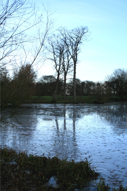 Nidd in Winter.