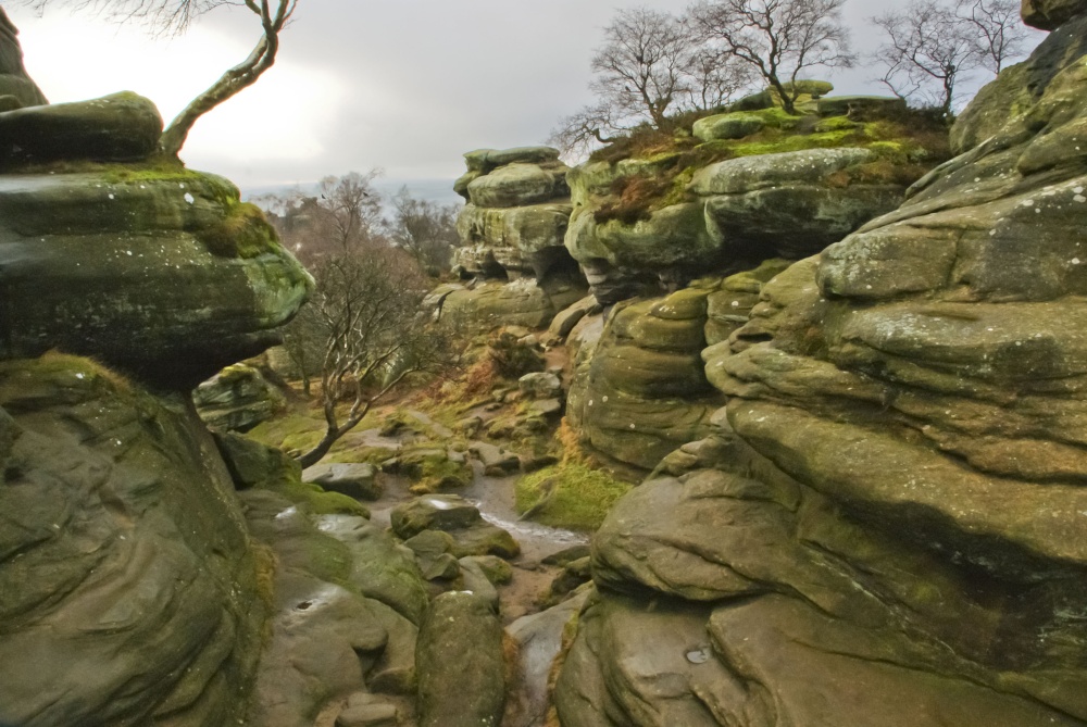 Out and about at Brimham Rocks