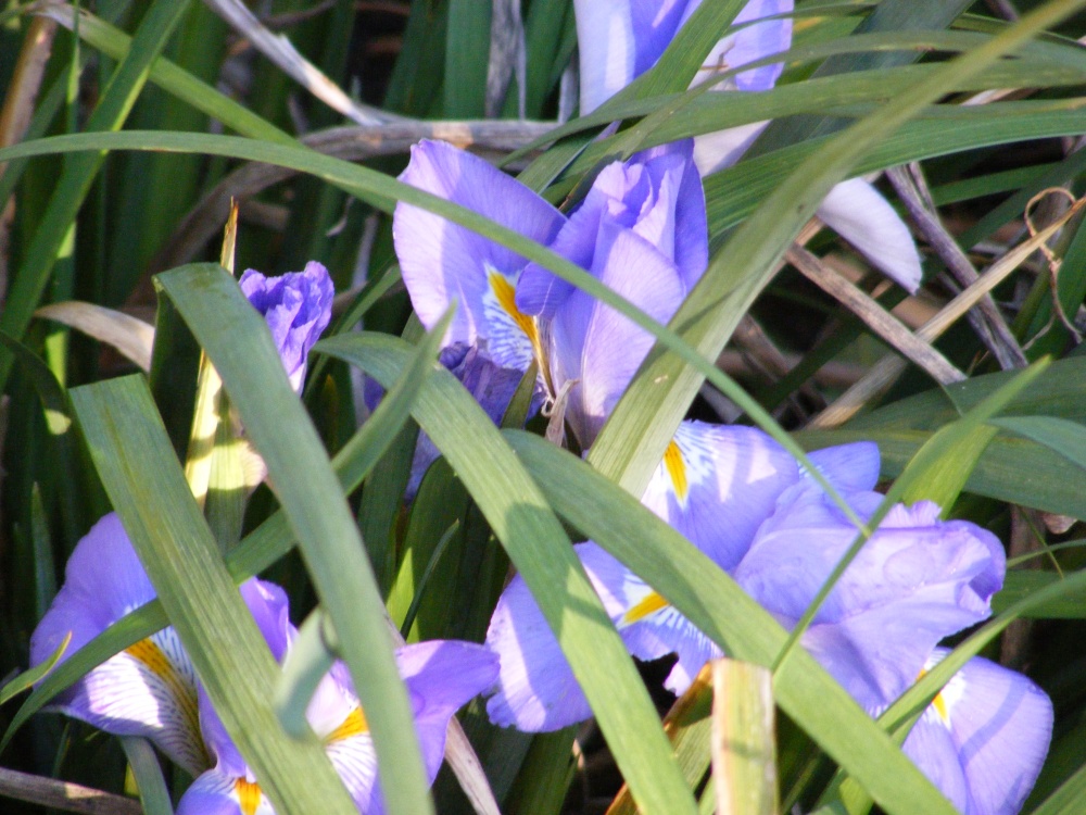 First signs of spring