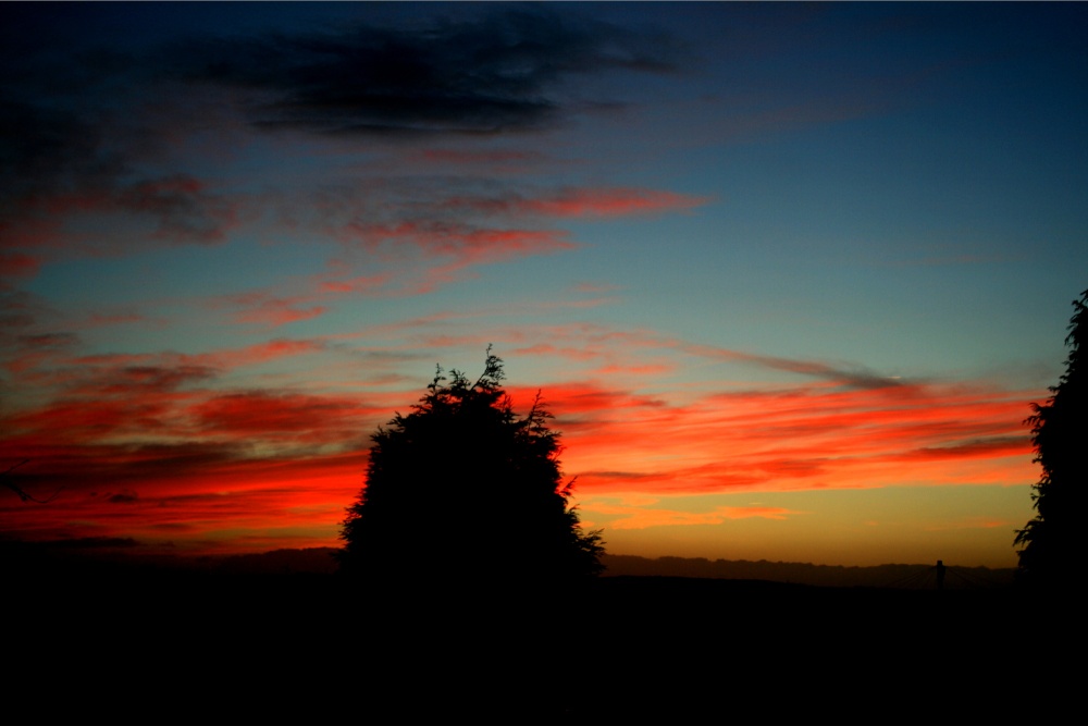 We had a beautiful sunset last night.