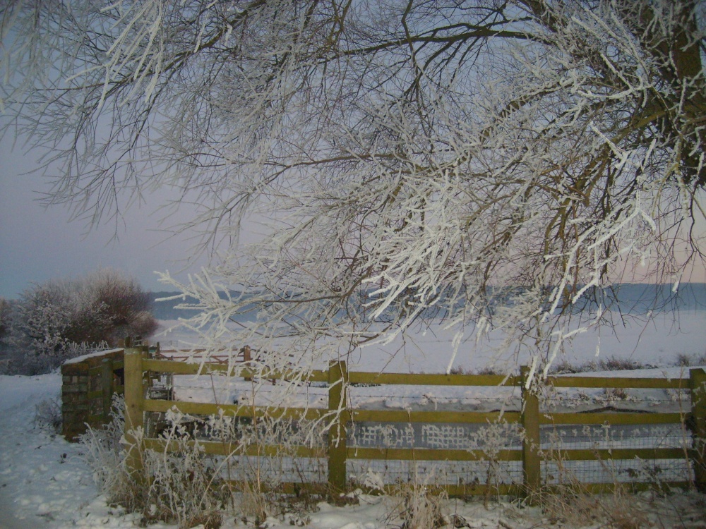 Near Othery, Somerset
