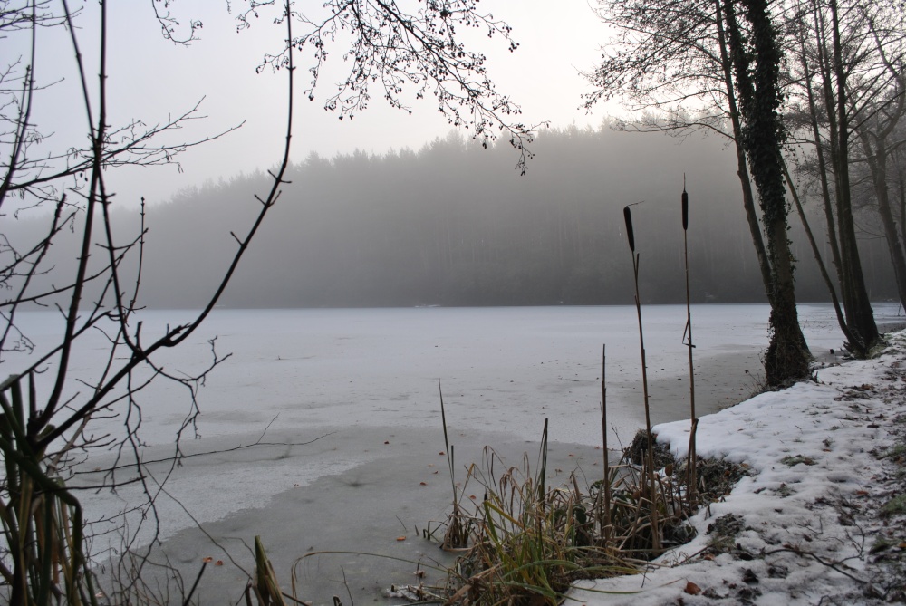 On Frozen Lake