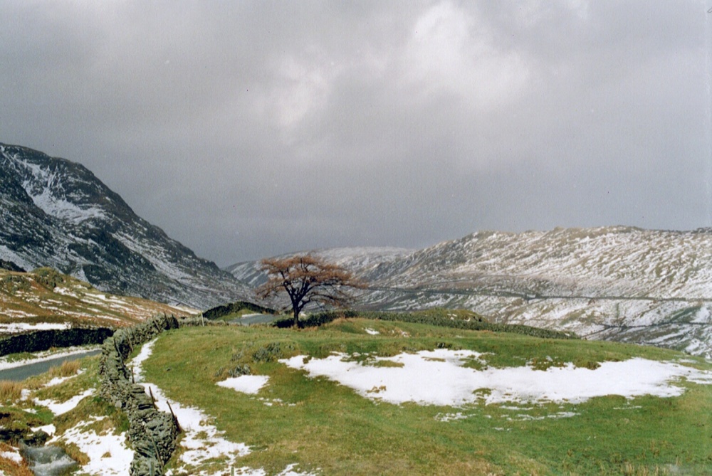 Lone tree, Kirkstone  Pass
