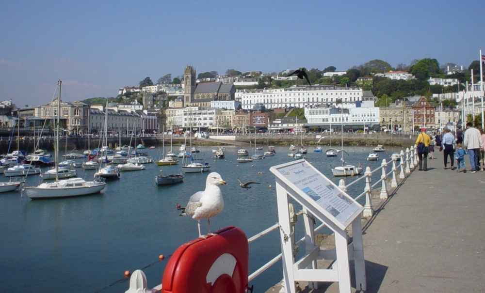 Torquay Harbour
