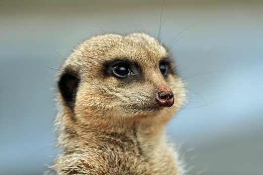 Photograph of Sparkwell