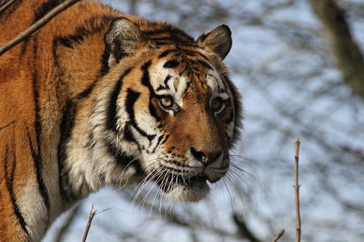 Photograph of Sparkwell