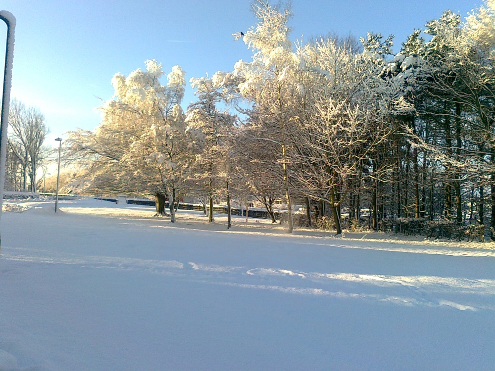 Photograph of Going to work