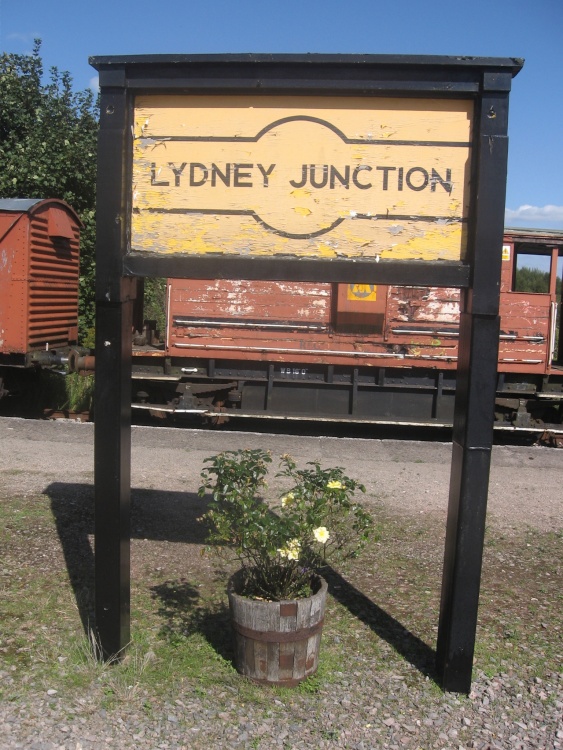 Lydney Junction flowers