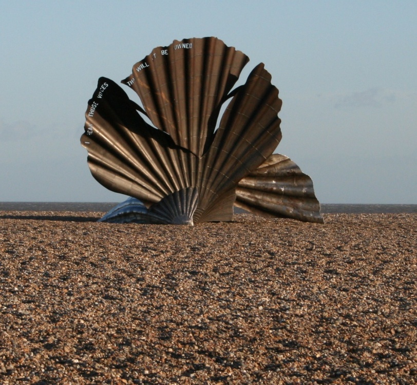 Photograph of Seashells on the shore